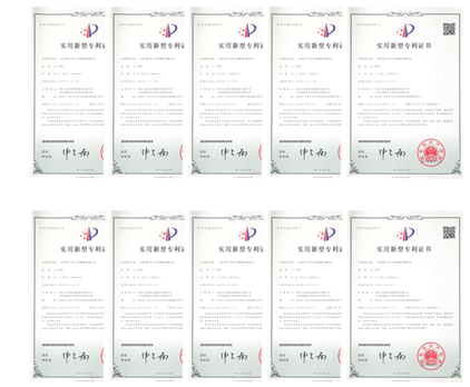 实用新型专利(图1)